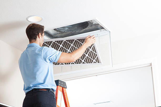 Best Air Filters and Purifiers in Shrewsbury, MO